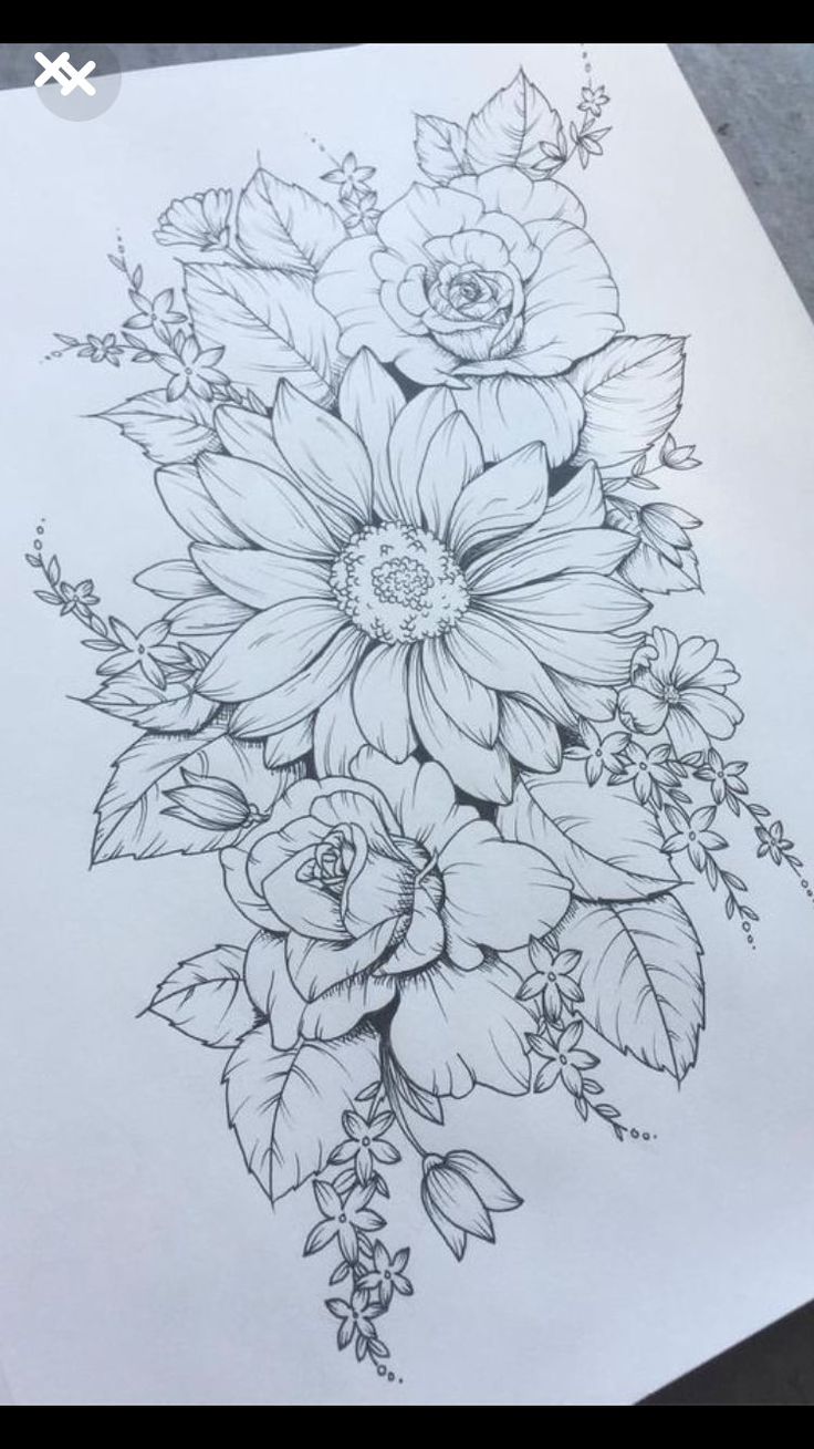 736x1309 Flowers Drawings Similar To Back Piece Rose As Large Flower - Large Drawings