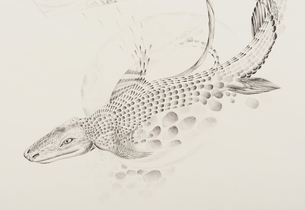 1000x689 Large Drawings S Grass - Large Drawings