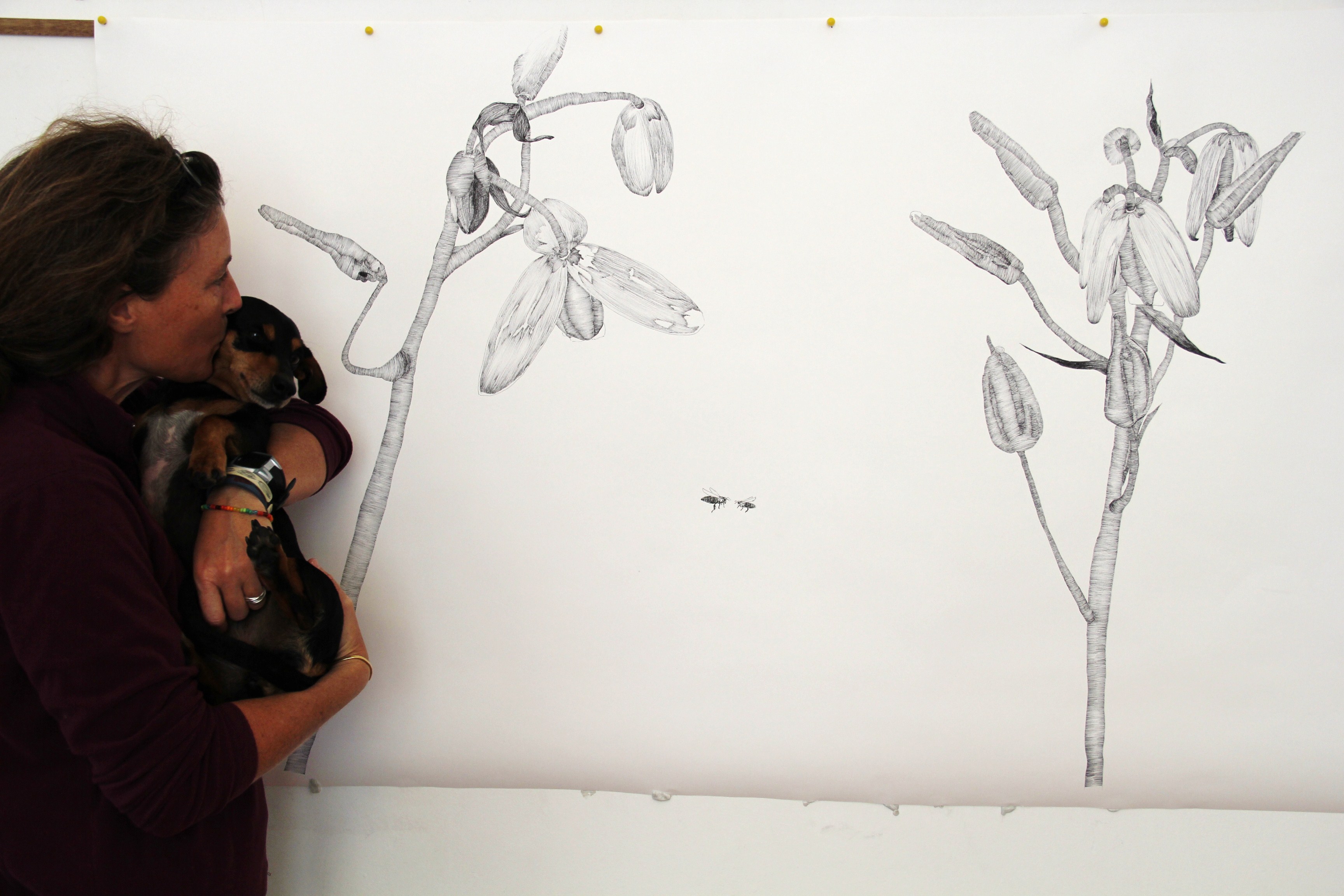 3456x2304 Large Scale Drawings Jenny Cullinan - Large Drawings