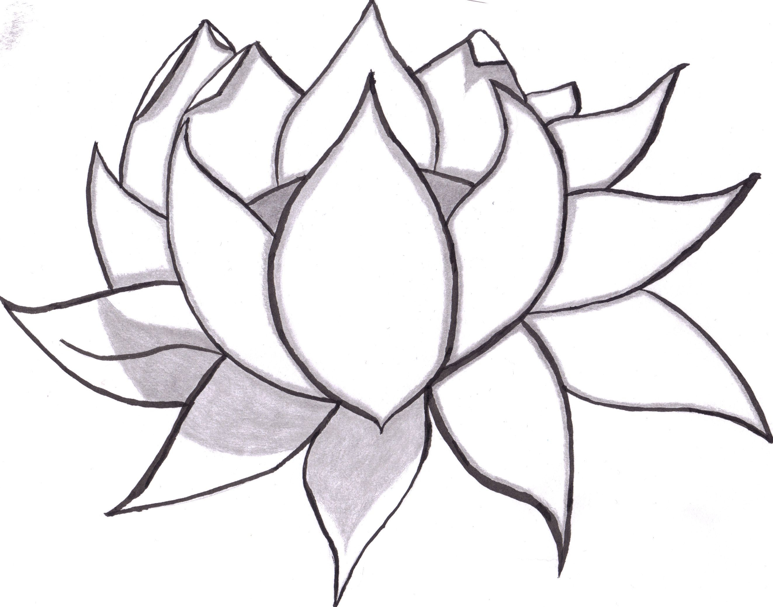 Large Flower Drawing