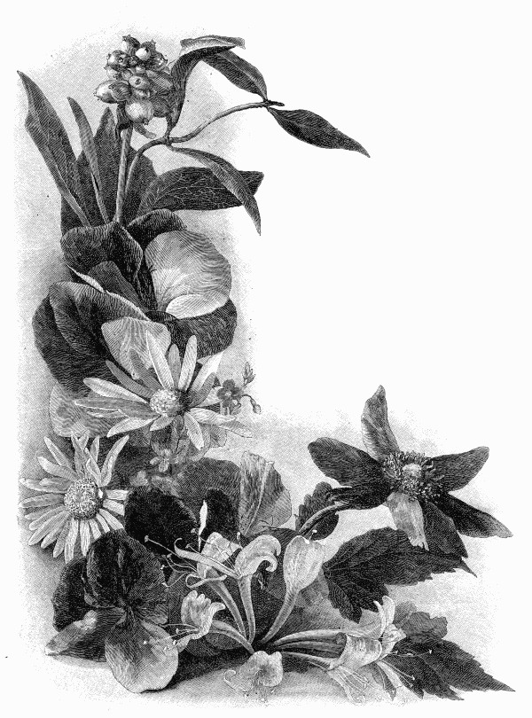 600x810 Large Flower Drawing - Large Flower Drawing