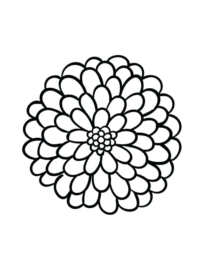 630x840 Dahlia Drawing Large Flower For Free Download - Large Flower Drawing
