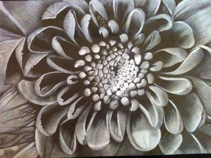 730x548 Flower Drawings, Art Ideas, Sketches Design Trends - Large Flower Drawing
