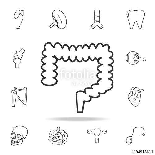 500x500 Large Intestine Icon Detailed Set Of Human Body Part Icons - Large Intestine Drawing