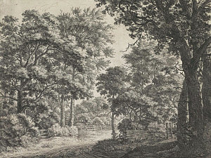 300x225 Large Trees On Either Side Of A Path, Anthonie Waterloo Drawing - Large Tree Drawing