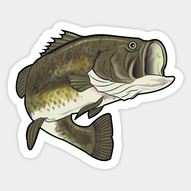 630x630 largemouth bass drawing - Largemouth Bass Drawing