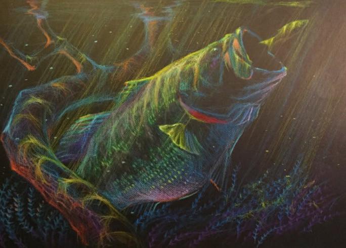 684x492 moonlight series - Largemouth Bass Drawing
