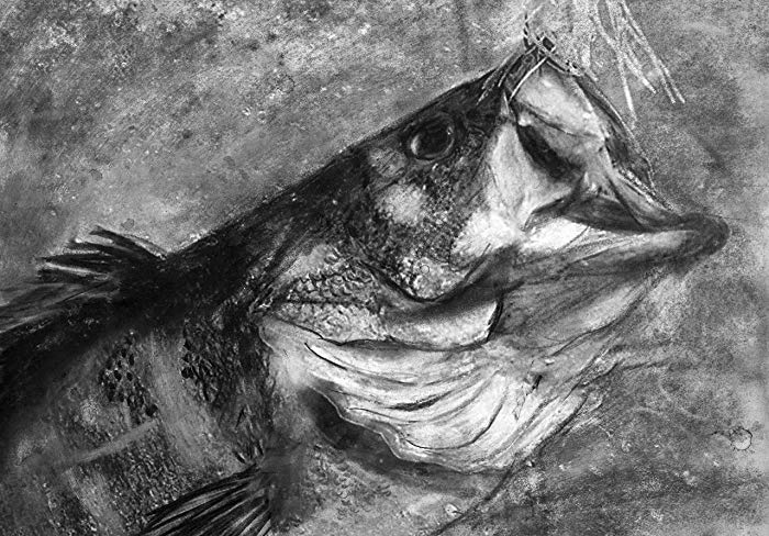 700x488 largemouth bass fishing art print, bass fishing wall - Largemouth Bass Drawing