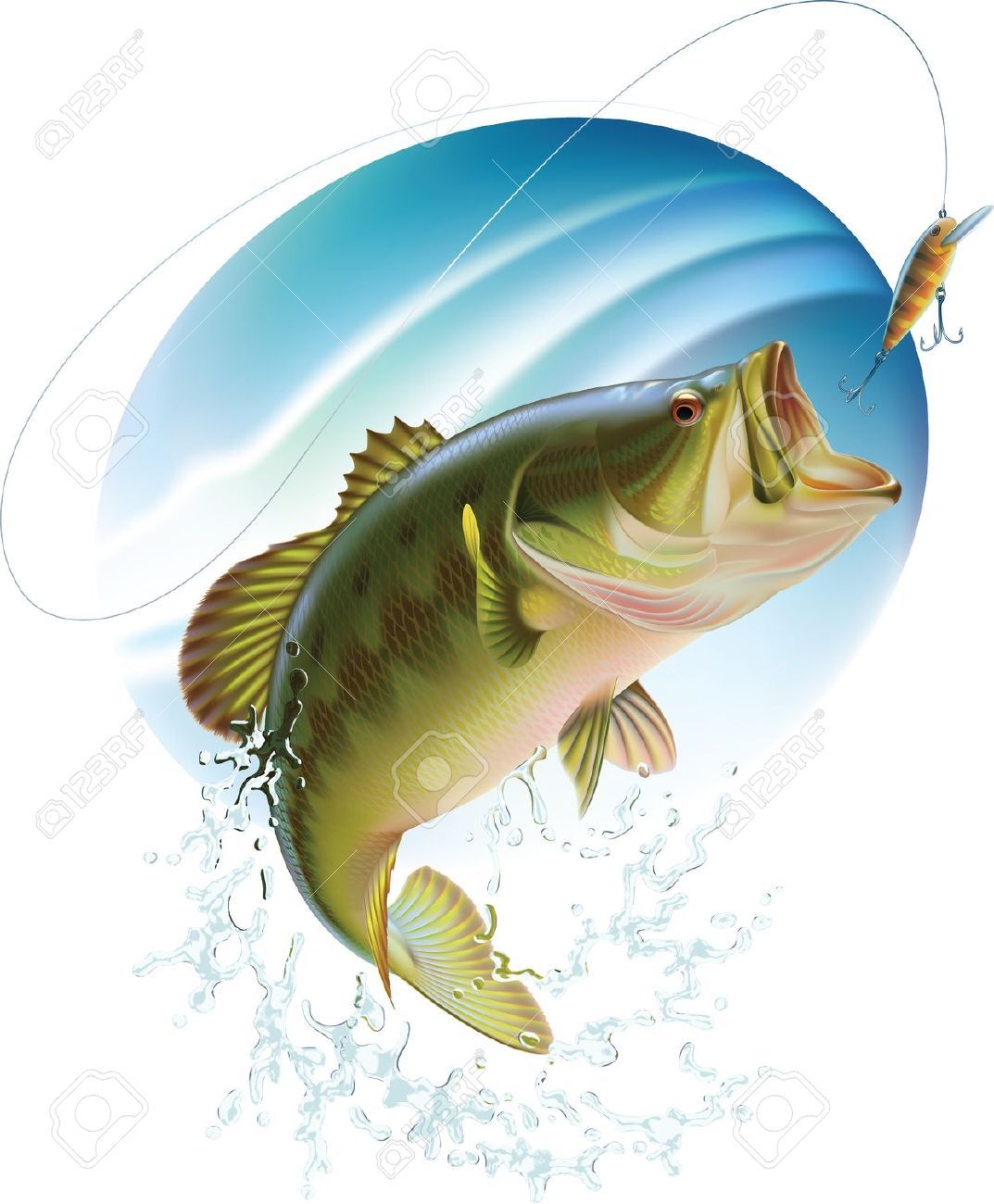 1073x1300 awesome largemouth bass fish drawings fish fish drawings, fish - Largemouth Bass Drawing