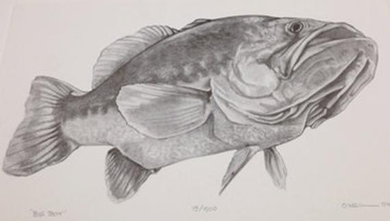 570x323 big largemouth bass pencil drawing etsy - Largemouth Bass Drawing
