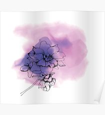 210x230 larkspur drawing posters redbubble - Larkspur Drawing