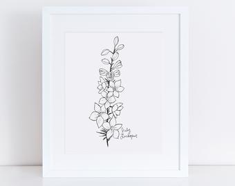 340x270 larkspur drawing etsy - Larkspur Flower Drawing