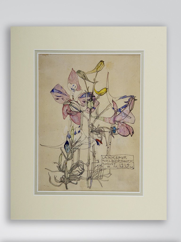 768x1024 mackintosh 'larkspur' flower print university of glasgow - Larkspur Flower Drawing