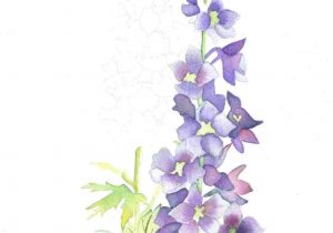 300x210 on upper arm - Larkspur Flower Drawing