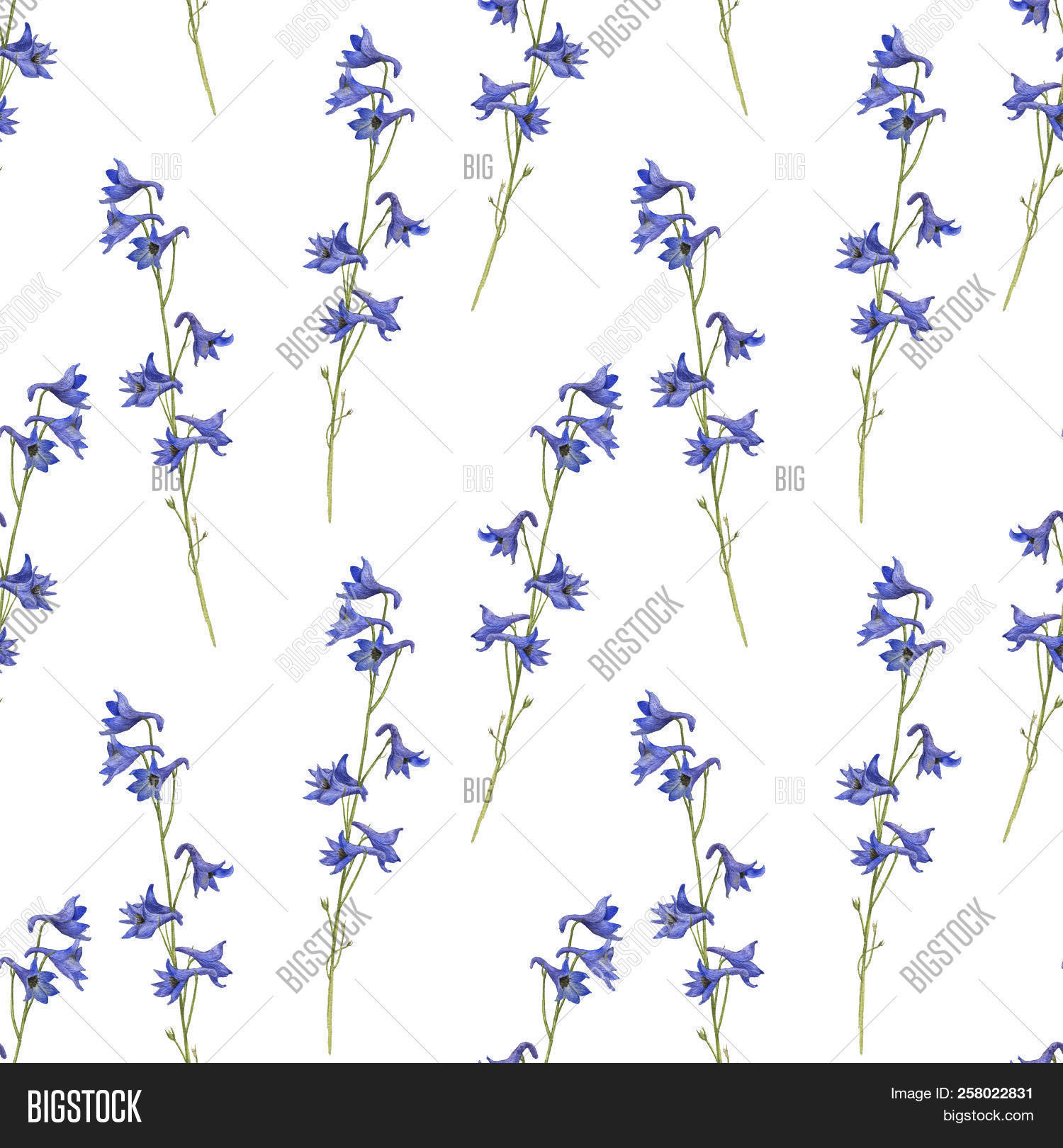 1500x1620 seamless pattern with watercolor drawing plants of larkspur - Larkspur Flower Drawing