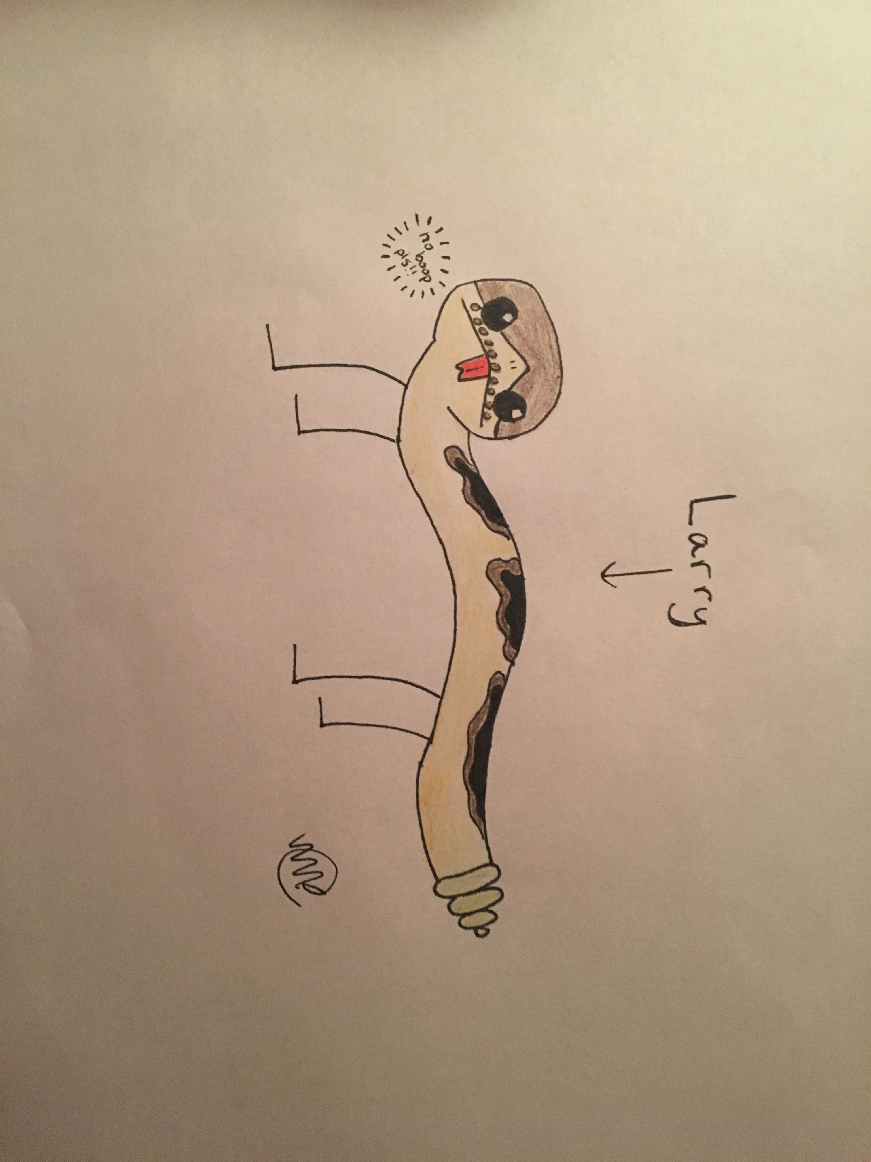 3024x4032 Oc Larry Drawing Larry Is A Beautiful Female Snake With Stick - Larry Drawing