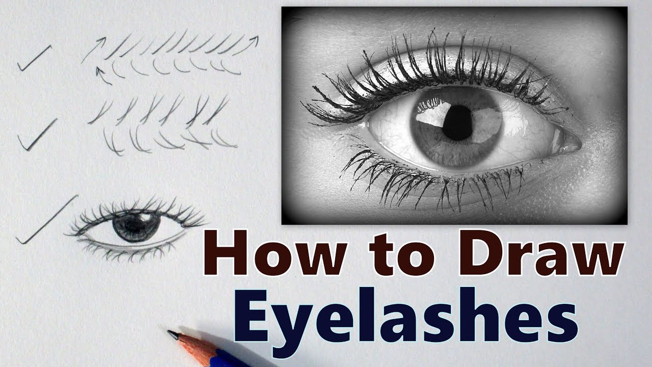 Lashes Drawing at PaintingValley.com | Explore collection of Lashes Drawing