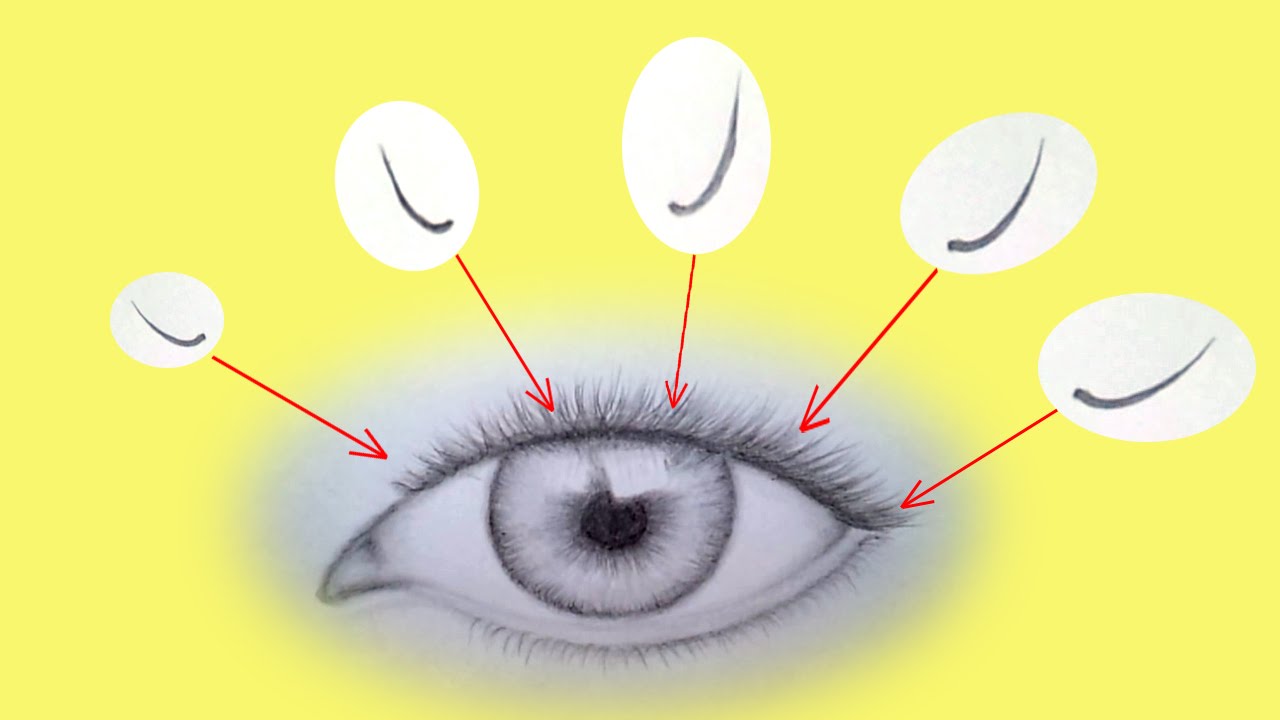 1280x720 how to draw eyelashes - Lashes Drawing