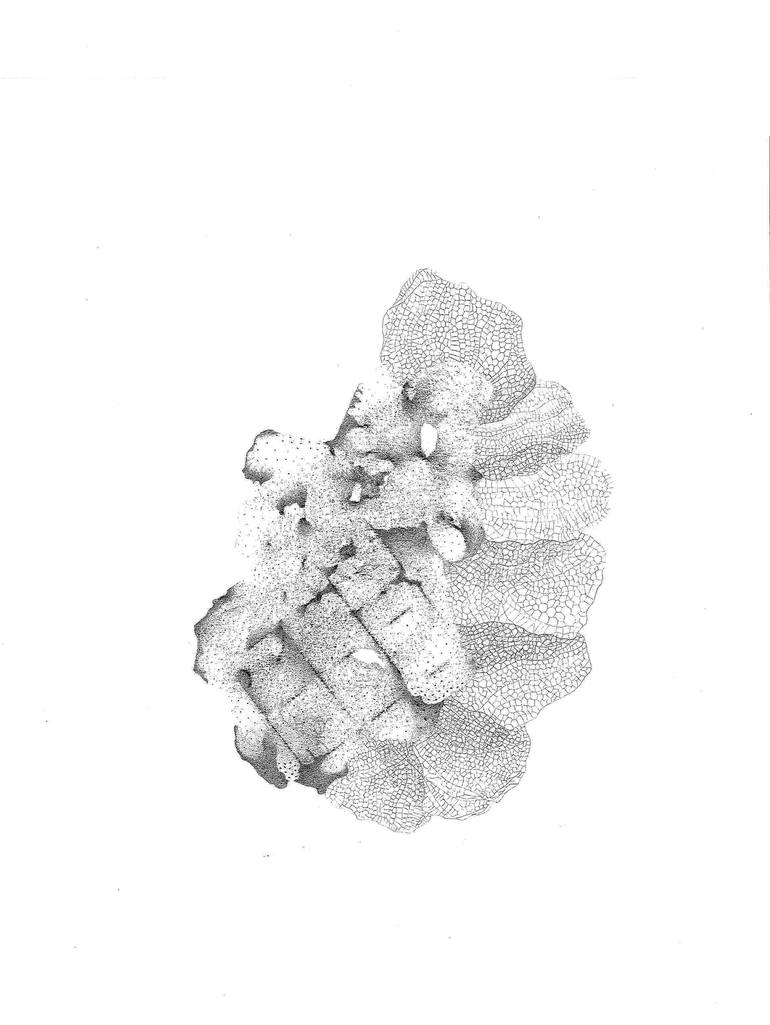 770x1025 prototype brick for a possible cave drawing - Lasso Drawing