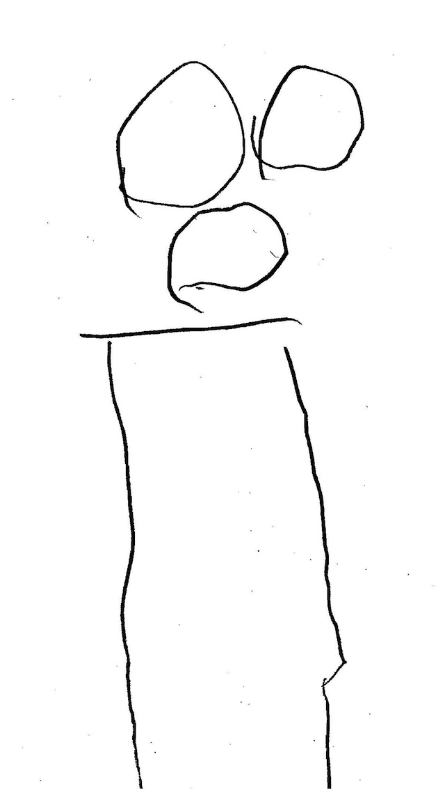 640x1160 Study Suggests Children's Drawings Reveal How Smart They Are - Last Kings Drawing