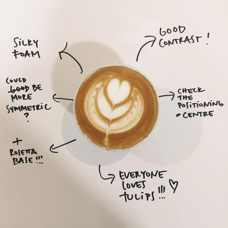 730x730 Latte Art Advanced - Latte Drawing