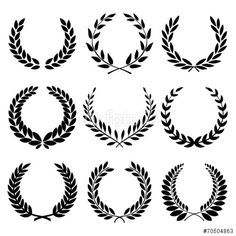 236x236 Image Result For Laurel Drawing Tattoo Tattoo Tattoos, Laurel - Laurel Drawing