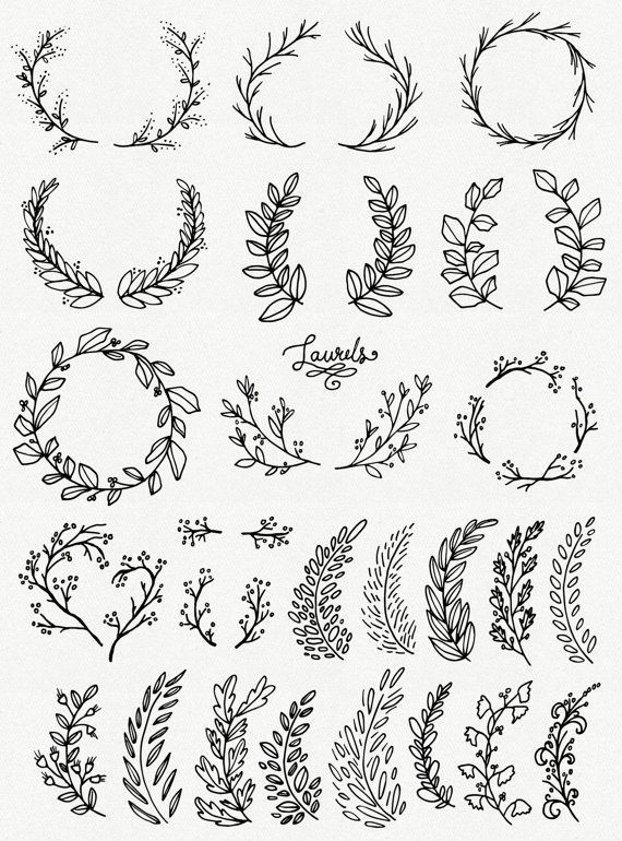 570x770 Ramas De Laurel Tatto Idea En Forma De Corona Tattoos - Laurel Drawing