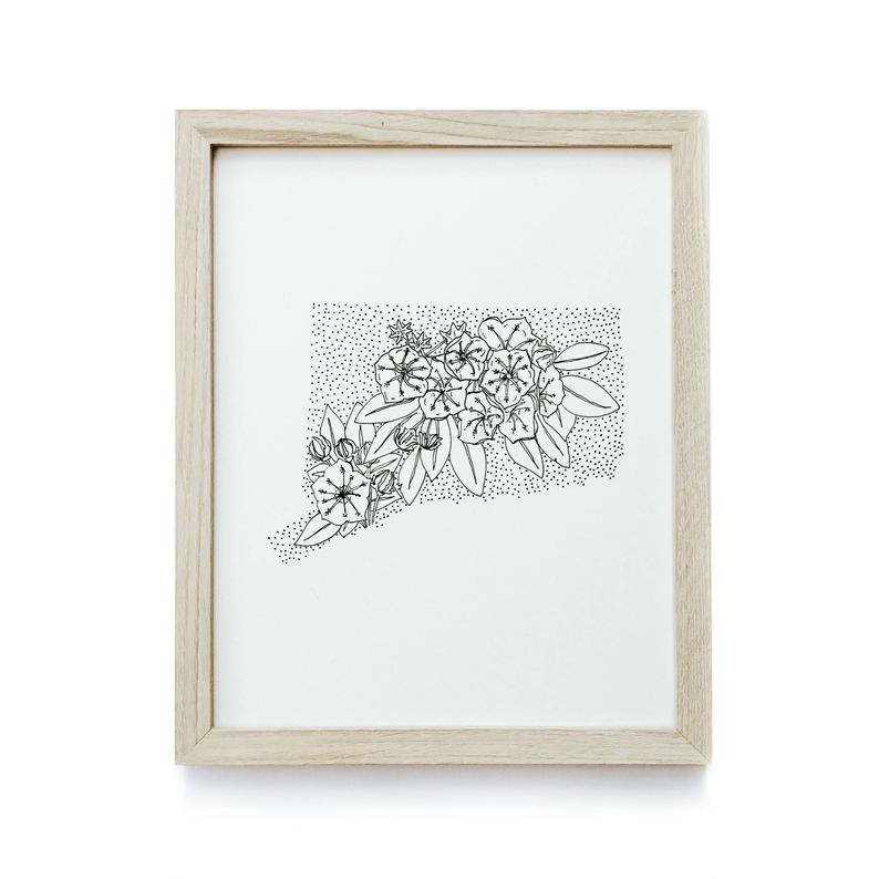 794x794 Connecticut Mountain Laurel State Flower Drawing Etsy - Laurel Drawing