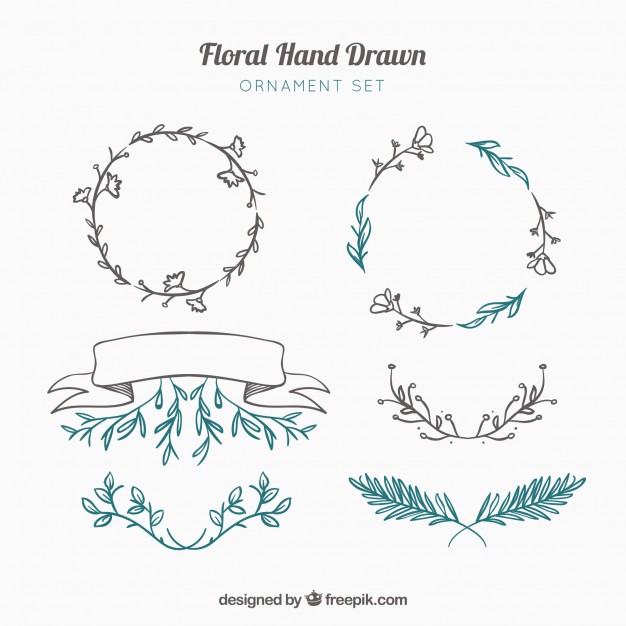 626x626 Laurel Vectors, Photos And Free Download - Laurel Leaf Drawing