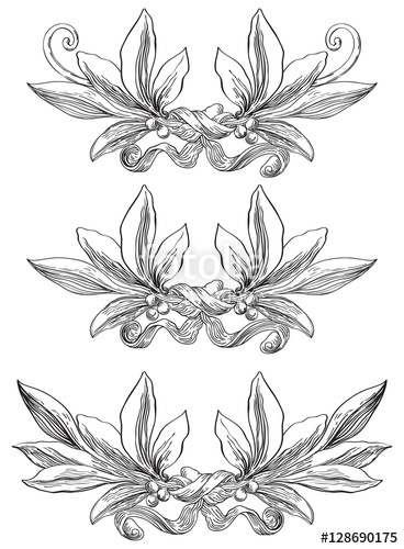 368x500 laurel wreaths vector set of elements with laurel leaves - Laurel Leaf Drawing
