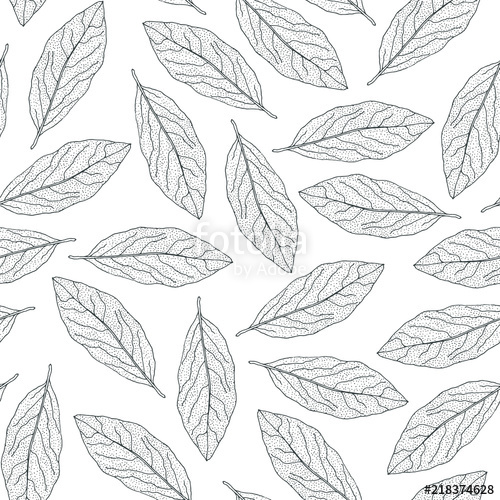 500x500 Bay Leaf Seamless Pattern Hand Drawn Laurel Leaves On A White - Laurel Leaf Drawing