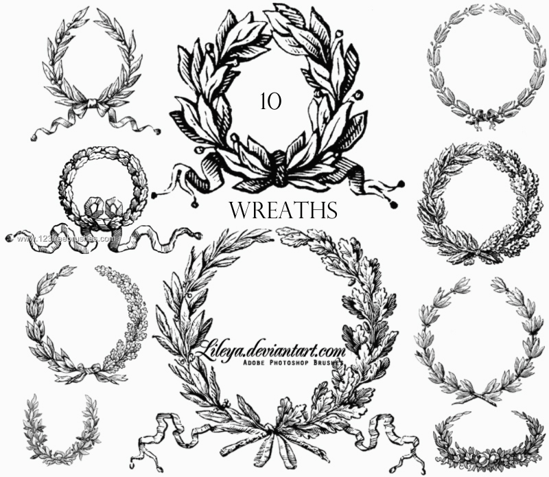 800x695 Laurel Vintage Drawing - Laurel Wreath Drawing