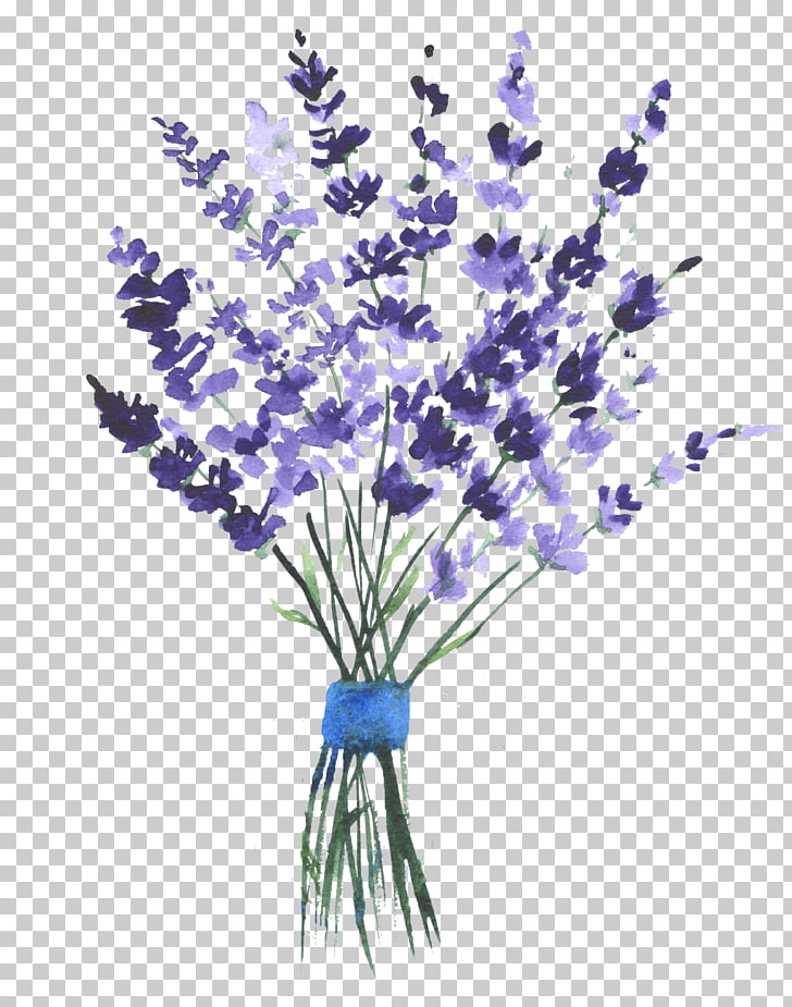 728x925 english lavender watercolor painting drawing, painting png clipart - Lavender Bouquet Drawing