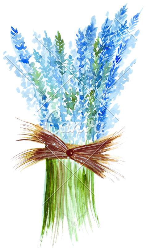 476x800 hand drawing of a watercolor of a bouquet of blue lavender - Lavender Bouquet Drawing
