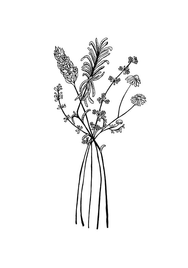 632x900 herb bouquet drawing - Lavender Bouquet Drawing