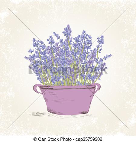 450x470 huge collection of 'lavender bouquet drawing' download more than - Lavender Bouquet Drawing