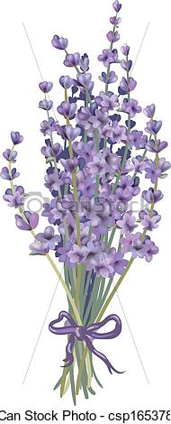 190x470 lavender bouquet clip art vector graphics lavender bouquet - Lavender Bouquet Drawing