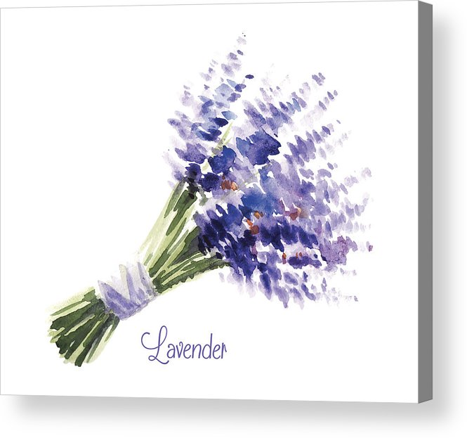 665x623 vector watercolor bouquet of lavender acrylic print - Lavender Bouquet Drawing