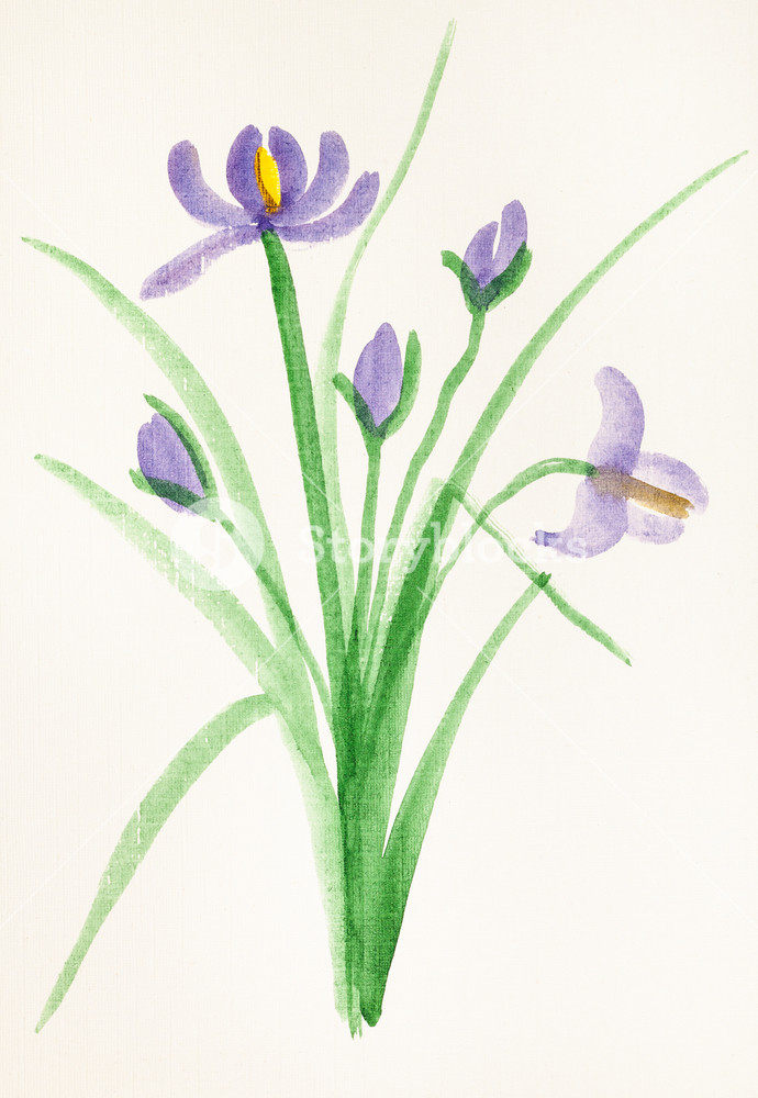 690x1000 training drawing in suibokuga style with watercolor paints - Lavender Bouquet Drawing