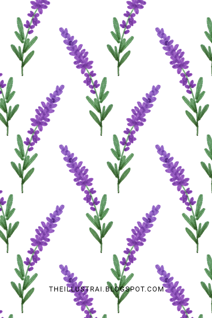 735x1103 How To Draw Lavender In Easy Steps - Lavender Drawing