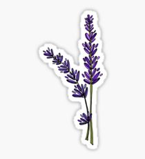 210x230 Lavender Drawing Stickers Redbubble - Lavender Drawing