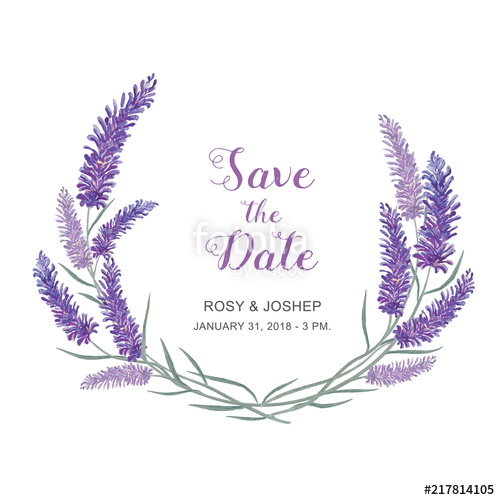 500x500 Lavender Flowers Watercolor Elements Collection Of Floral - Lavender Drawing