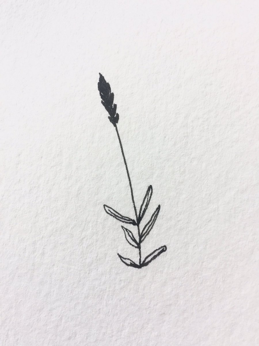 900x1200 dodie on twitter pssst dear talented art people would anyone - Lavender Line Drawing