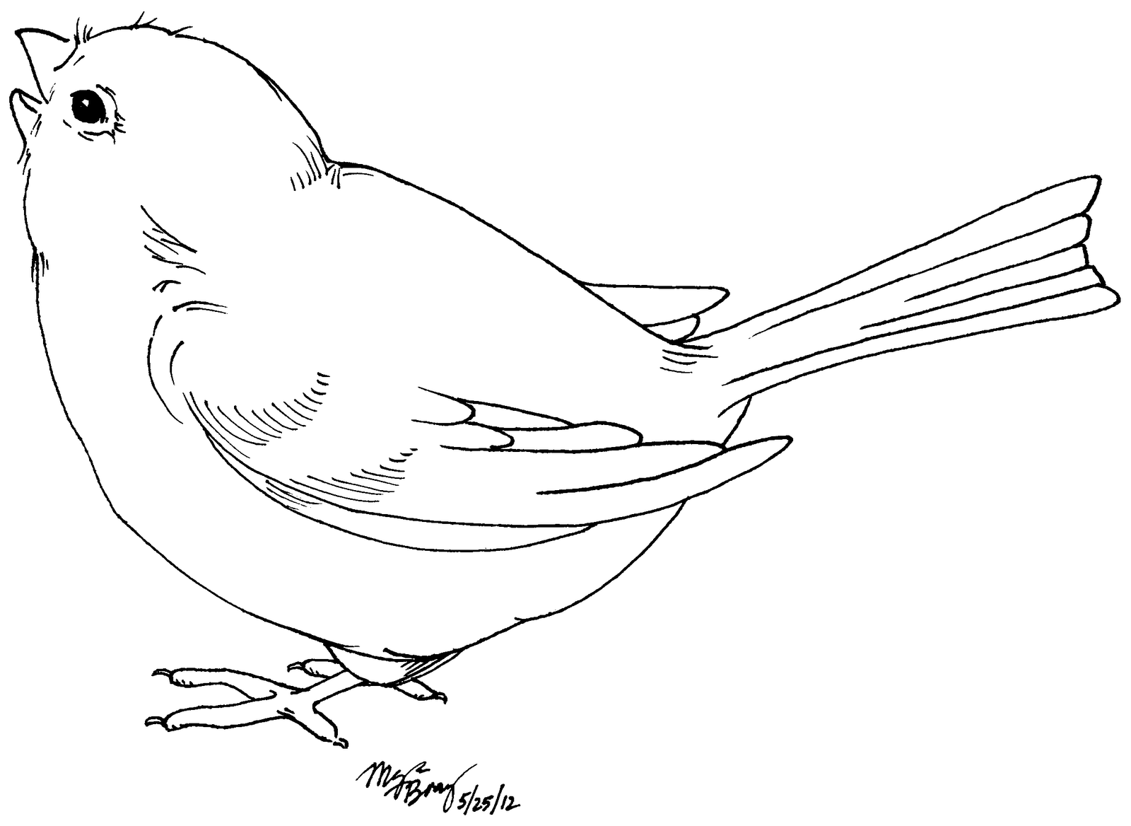 1600x1168 Cliparts For Free Download Lavender Clipart Drawing And Use - Lavender Line Drawing