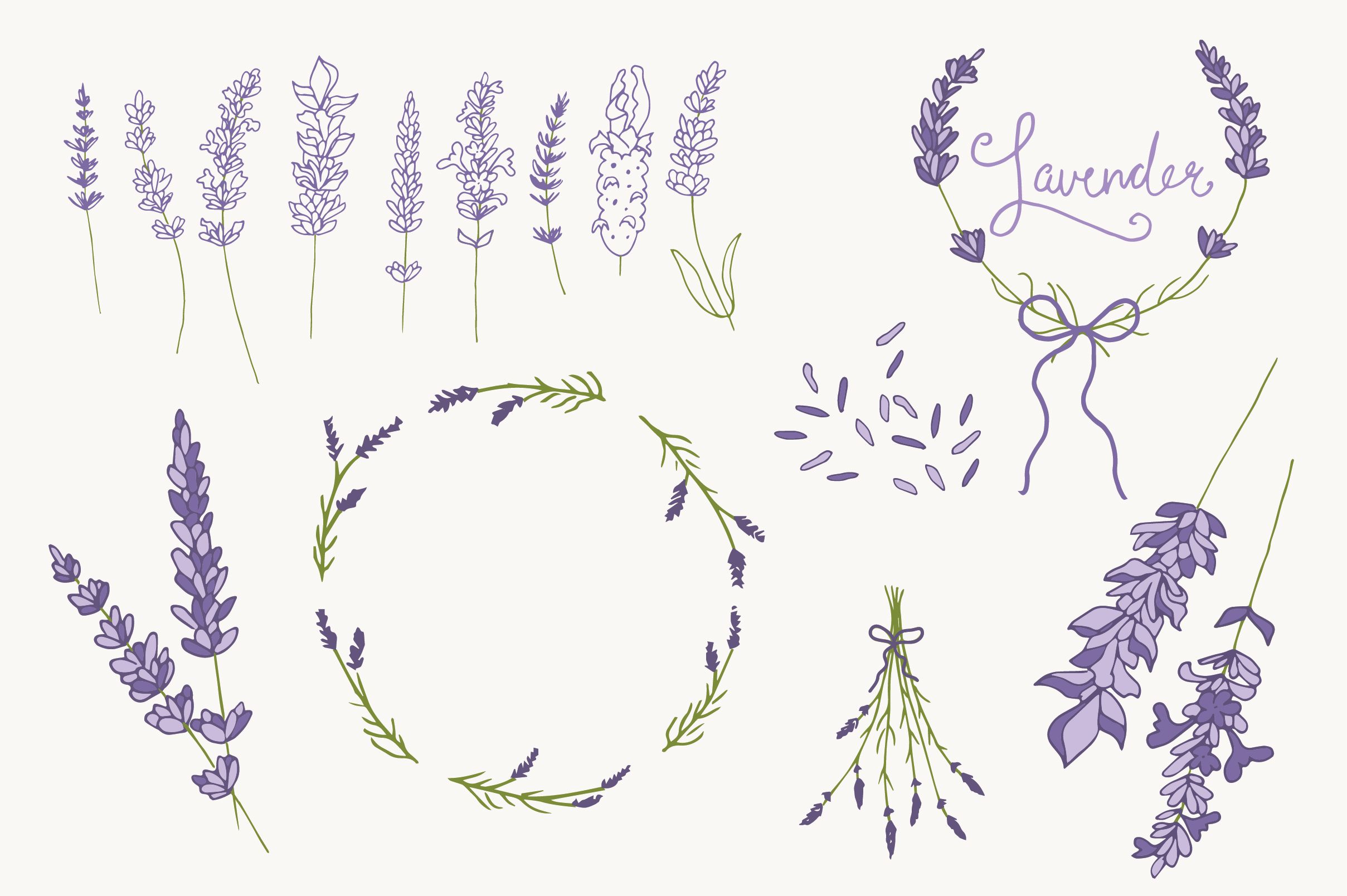 2417x1608 Line Drawing Lavender - Lavender Line Drawing