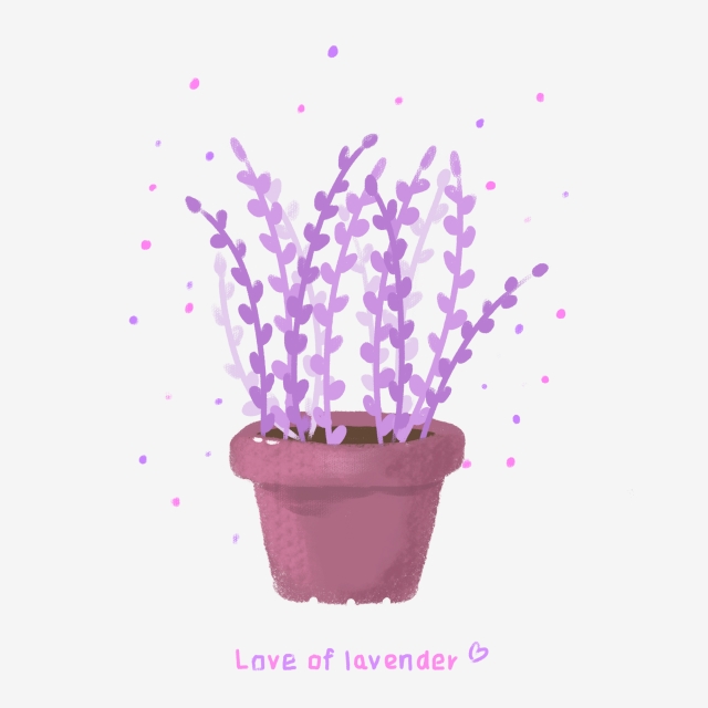 640x640 Hand Painted Wind Fresh And Lovely Lavender Flowerpot Plant - Lavender Plant Drawing