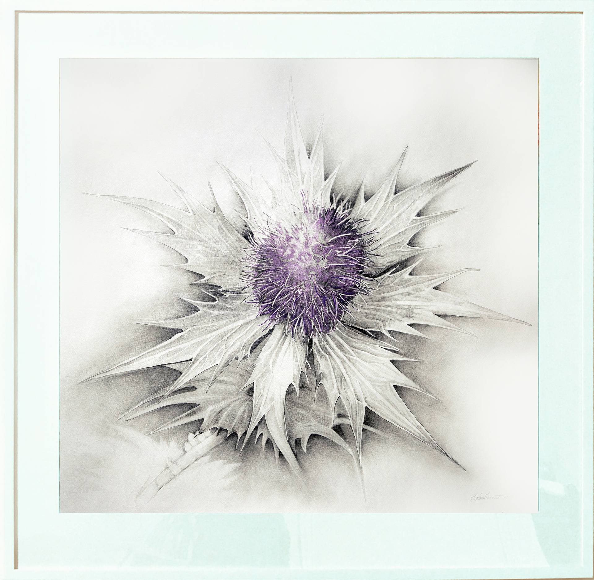 1920x1874 Lavender Thistle Drawing - Lavender Plant Drawing