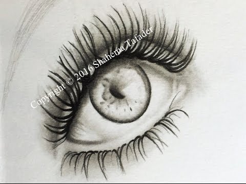 480x360 sketchbook drawing - Lead Drawing