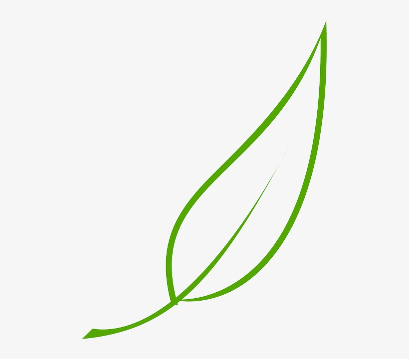 820x720 Green, Outline, Drawing, Leaf, Cartoon, Free, Color - Leaf Cartoon Drawing