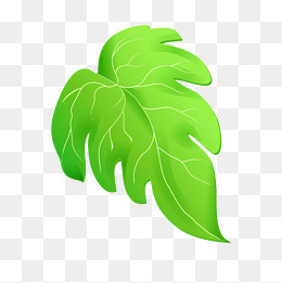 260x261 Green Leaves Cartoon Drawing Png, Vectors, And Clipart - Leaf Cartoon Drawing